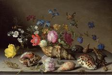 Still Life of a Vase of Flowers with Shells-Balthasar van der Ast-Giclee Print