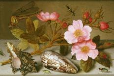 Still Life-Balthasar van der Ast-Giclee Print