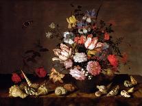 Tulips, Roses and Other Flowers in a Glass Vase-Balthasar van der Ast-Giclee Print