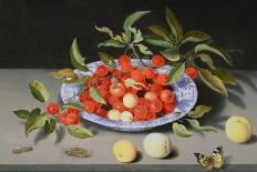 Trauben und andere Früchte in einem Korb, Kirschen und ein Pfirsich auf einem Delfter Teller-Balthasar van der Ast-Giclee Print