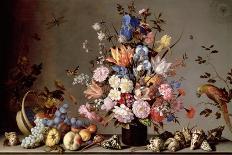 Flowers, Shells and Insects on a Stone Ledge-Balthasar van der Ast-Giclee Print