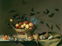 Trauben und andere Früchte in einem Korb, Kirschen und ein Pfirsich auf einem Delfter Teller-Balthasar van der Ast-Giclee Print
