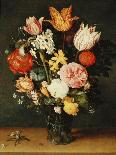 Tulips, Roses and Other Flowers in a Glass Vase-Balthasar van der Ast-Giclee Print