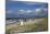 Baltic Beach Close Ahrenshoop-Uwe Steffens-Mounted Photographic Print