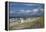 Baltic Beach Close Ahrenshoop-Uwe Steffens-Framed Premier Image Canvas