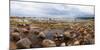 Baltic Sea coast with granite boulders on a cloudy day, Estonia, Europe-Mykola Iegorov-Mounted Photographic Print