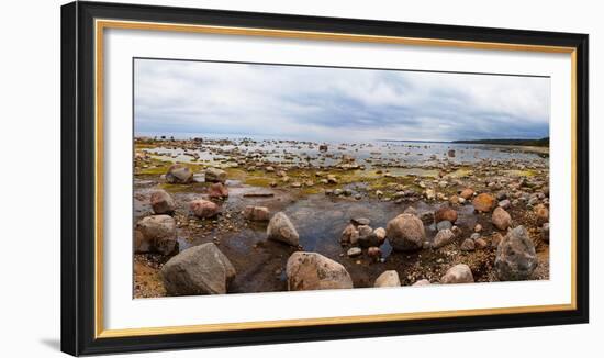 Baltic Sea coast with granite boulders on a cloudy day, Estonia, Europe-Mykola Iegorov-Framed Photographic Print