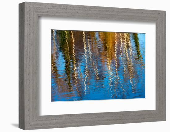 Baltic Sea, Darss, Port Mirroring-Catharina Lux-Framed Photographic Print