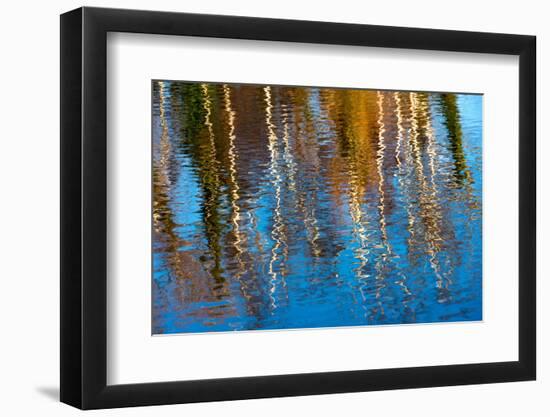 Baltic Sea, Darss, Port Mirroring-Catharina Lux-Framed Photographic Print