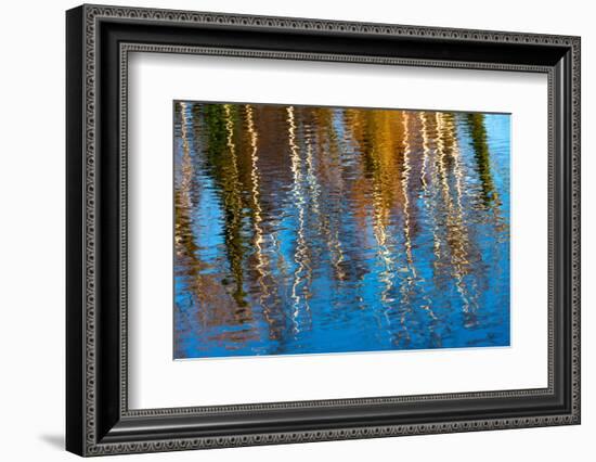 Baltic Sea, Darss, Port Mirroring-Catharina Lux-Framed Photographic Print