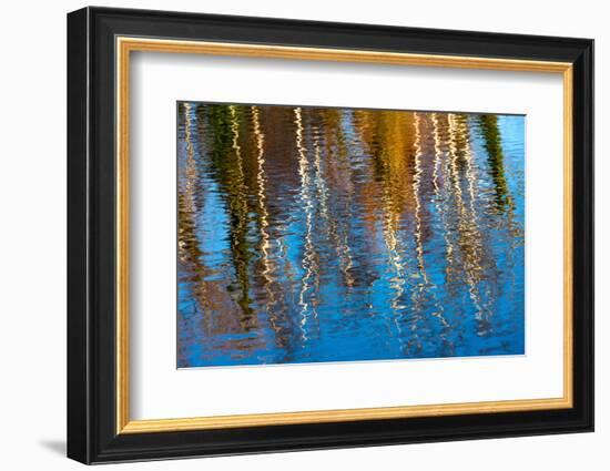 Baltic Sea, Darss, Port Mirroring-Catharina Lux-Framed Photographic Print