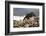 Baltic Sea, Hohwacht Bay, Hotel-Nora Frei-Framed Photographic Print