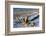 Baltic Sea, Winter-Catharina Lux-Framed Photographic Print