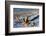 Baltic Sea, Winter-Catharina Lux-Framed Photographic Print