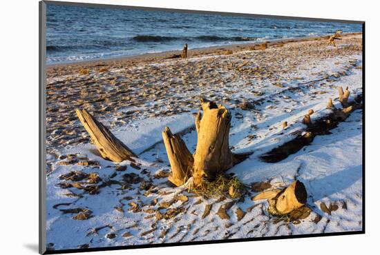 Baltic Sea, Winter-Catharina Lux-Mounted Photographic Print