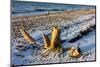 Baltic Sea, Winter-Catharina Lux-Mounted Photographic Print