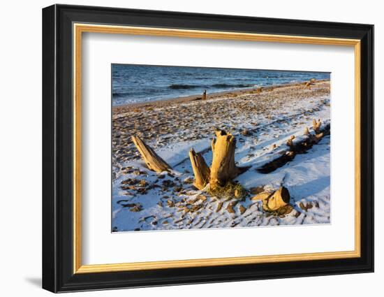 Baltic Sea, Winter-Catharina Lux-Framed Photographic Print