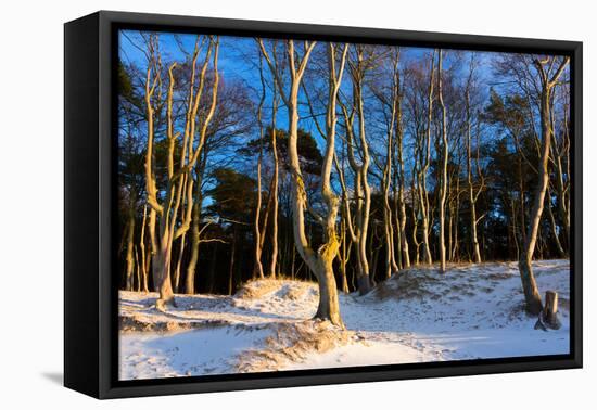 Baltic Sea, Winter-Catharina Lux-Framed Premier Image Canvas