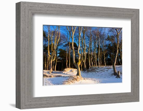 Baltic Sea, Winter-Catharina Lux-Framed Photographic Print