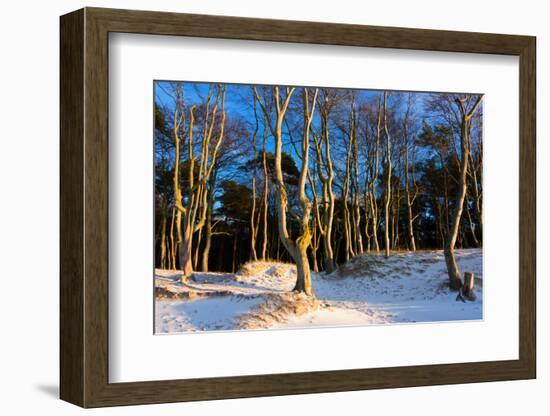 Baltic Sea, Winter-Catharina Lux-Framed Photographic Print