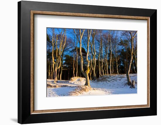 Baltic Sea, Winter-Catharina Lux-Framed Photographic Print