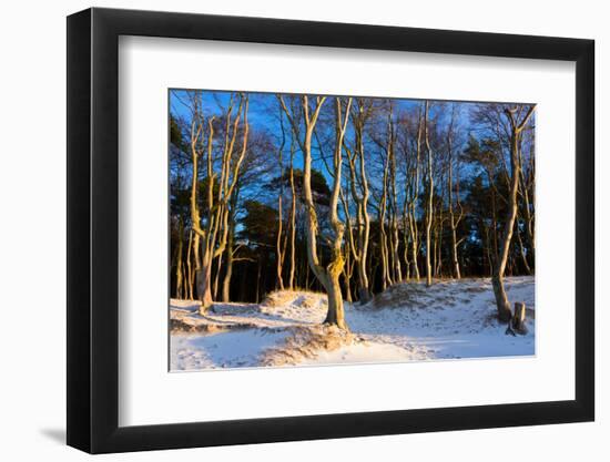 Baltic Sea, Winter-Catharina Lux-Framed Photographic Print