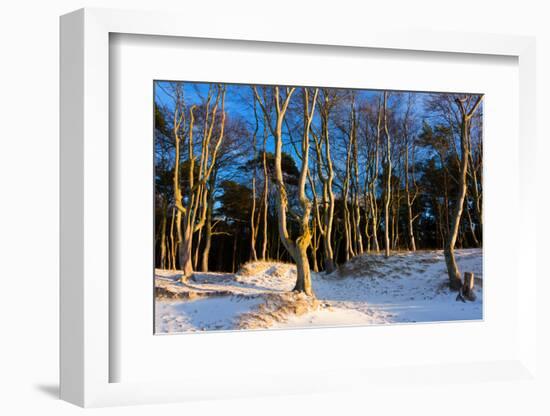 Baltic Sea, Winter-Catharina Lux-Framed Photographic Print