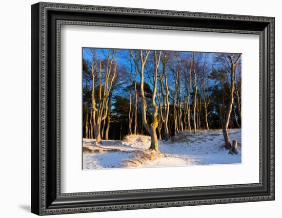 Baltic Sea, Winter-Catharina Lux-Framed Photographic Print