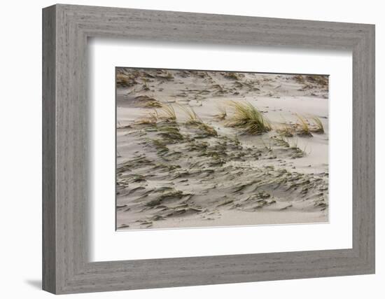 Baltic Sea, Winter-Catharina Lux-Framed Photographic Print