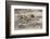 Baltic Sea, Winter-Catharina Lux-Framed Photographic Print