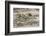 Baltic Sea, Winter-Catharina Lux-Framed Photographic Print