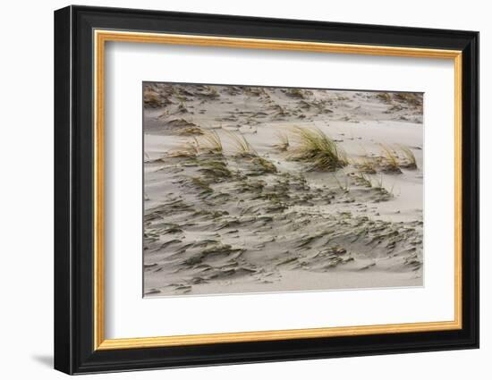 Baltic Sea, Winter-Catharina Lux-Framed Photographic Print