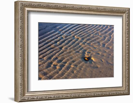 Baltic Sea, Winter-Catharina Lux-Framed Photographic Print