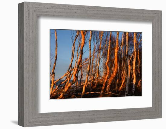 Baltic Sea, Winter-Catharina Lux-Framed Photographic Print