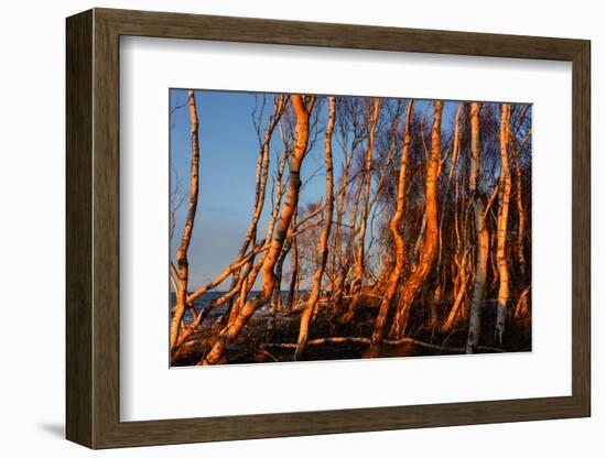 Baltic Sea, Winter-Catharina Lux-Framed Photographic Print