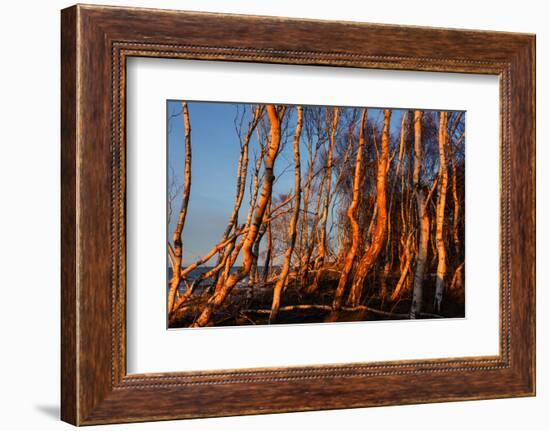 Baltic Sea, Winter-Catharina Lux-Framed Photographic Print