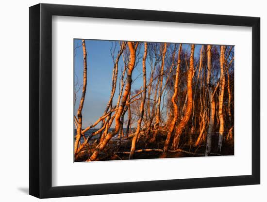 Baltic Sea, Winter-Catharina Lux-Framed Photographic Print