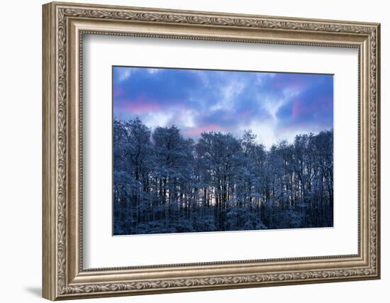 Baltic Sea, Winter-Catharina Lux-Framed Photographic Print