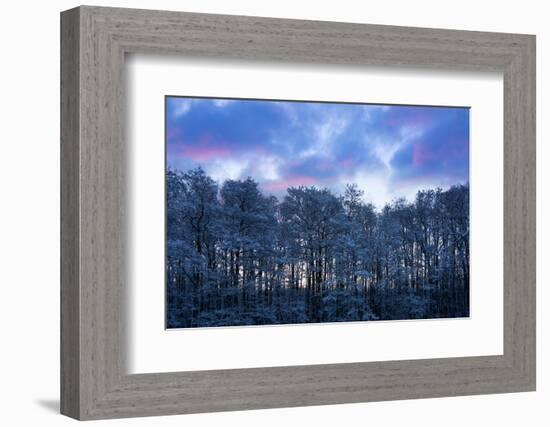 Baltic Sea, Winter-Catharina Lux-Framed Photographic Print