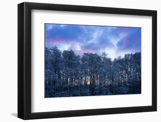 Baltic Sea, Winter-Catharina Lux-Framed Photographic Print