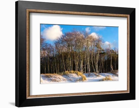 Baltic Sea, Winter-Catharina Lux-Framed Photographic Print