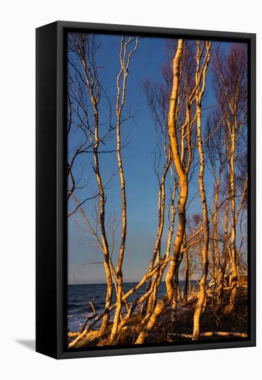 Baltic Sea, Winter-Catharina Lux-Framed Premier Image Canvas