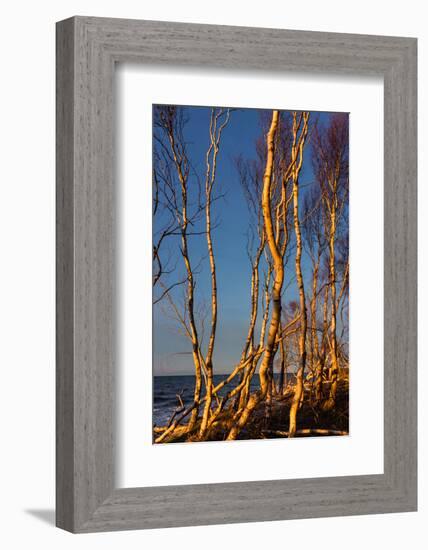 Baltic Sea, Winter-Catharina Lux-Framed Photographic Print