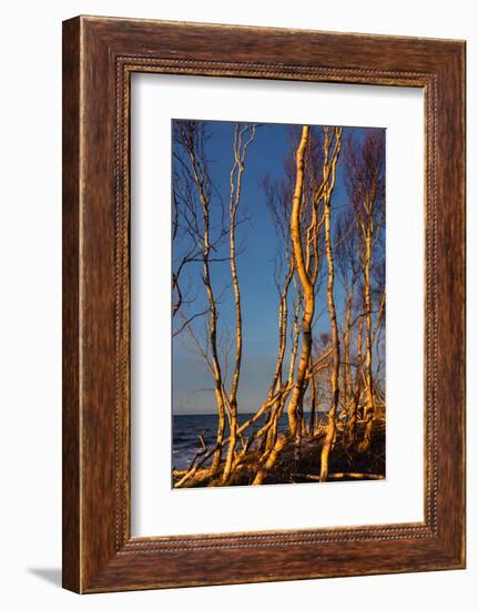 Baltic Sea, Winter-Catharina Lux-Framed Photographic Print