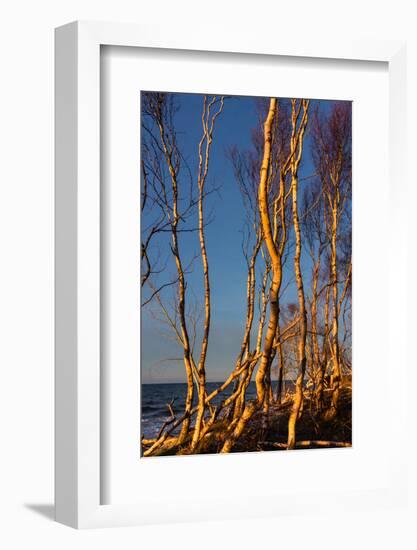 Baltic Sea, Winter-Catharina Lux-Framed Photographic Print