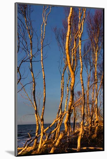 Baltic Sea, Winter-Catharina Lux-Mounted Photographic Print