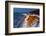 Baltic Sea, Winter-Catharina Lux-Framed Photographic Print