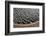 Baltic Sea, Winter-Catharina Lux-Framed Photographic Print