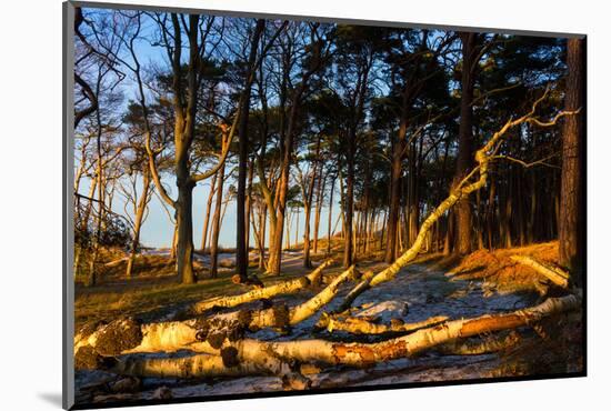 Baltic Sea, Winter-Catharina Lux-Mounted Photographic Print