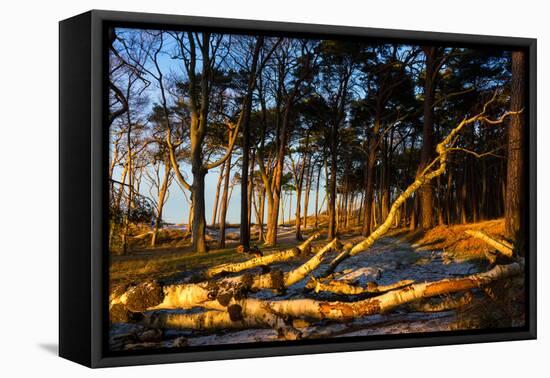 Baltic Sea, Winter-Catharina Lux-Framed Premier Image Canvas